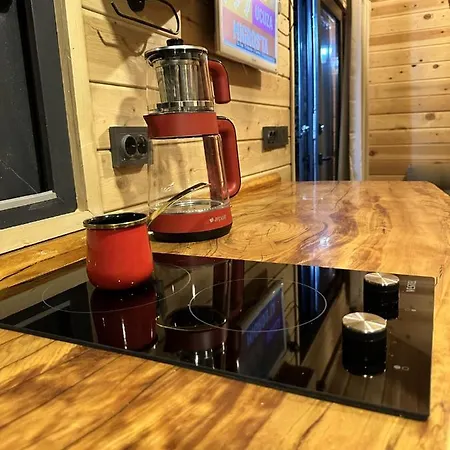 Balbadem_hisaroenue Marmaris Tiny House Apartman Muğla